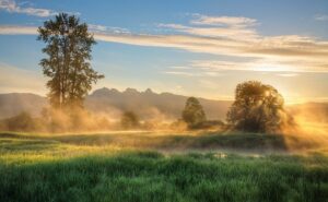 Gründe, warum Reisen die beste Therapie ist